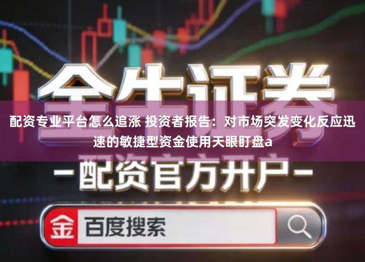 配资专业平台怎么追涨 投资者报告：对市场突发变化反应迅速的敏捷型资金使用天眼盯盘a