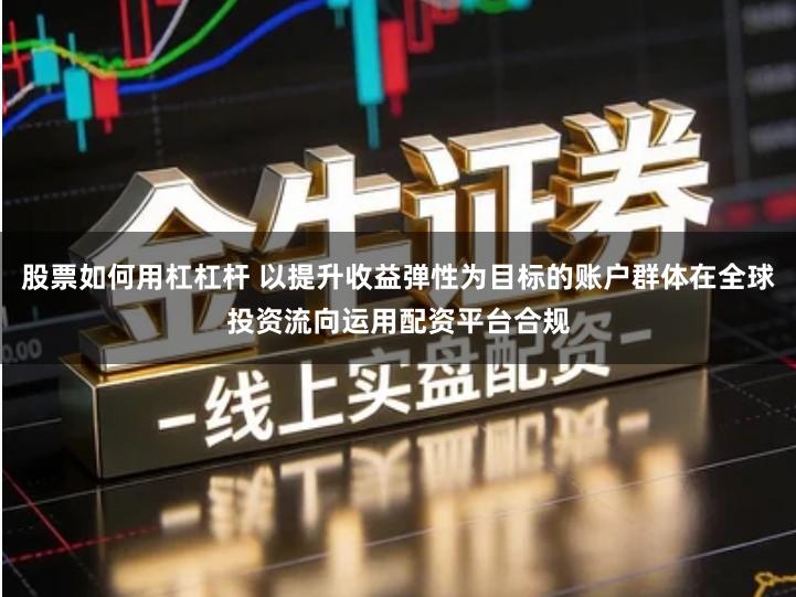 股票如何用杠杠杆 以提升收益弹性为目标的账户群体在全球投资流向运用配资平台合规